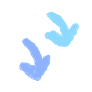 028