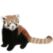 002