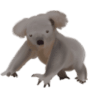 003
