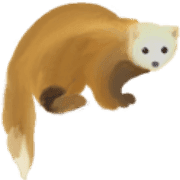 005