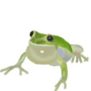 006
