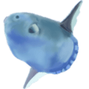 008