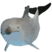 009
