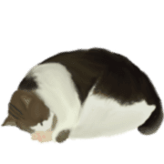 011