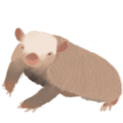 013