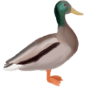 019
