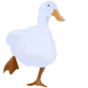 020