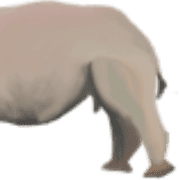 026
