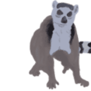 031