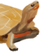 034