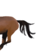 036