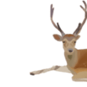 037