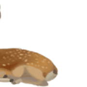 038