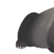 039
