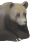 040