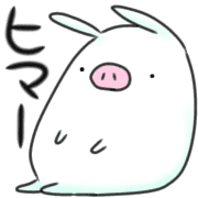 031