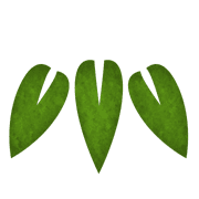 004