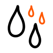 019