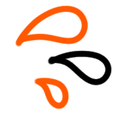 031