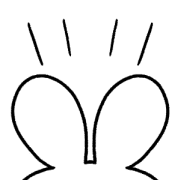 005