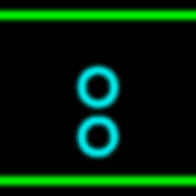 244