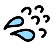 004