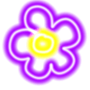 004
