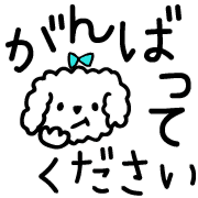 019