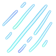 009
