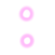 244