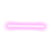 251