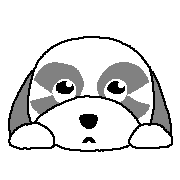 005