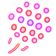 013