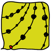 006