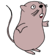 006