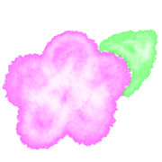 020