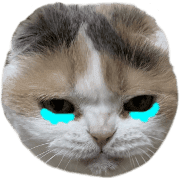 016