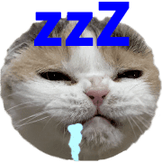 020