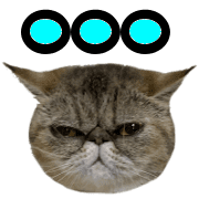 025