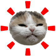 028