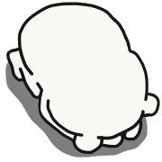 020