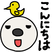003