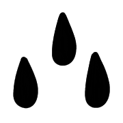 016