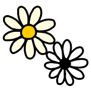 029