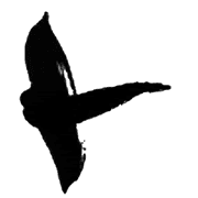 100