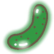 036