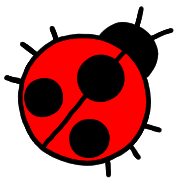 019