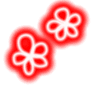 004