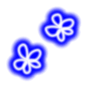 019