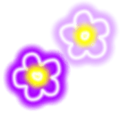 029